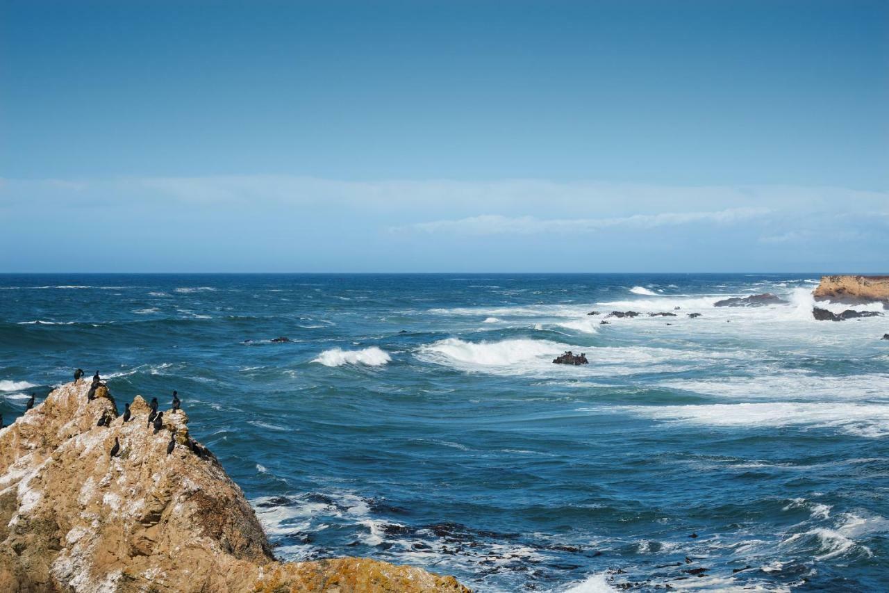 Ocean Breeze Βίλα Φορτ Μπραγκ Εξωτερικό φωτογραφία